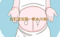 彩虹宝宝第一季全26集